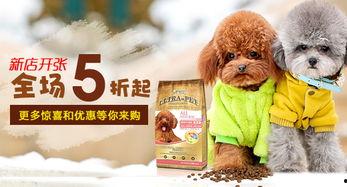 钻石宠物最新爆料下载,揭秘神秘新品,引领宠物市场新潮流 第3张 钻石宠物最新爆料下载,揭秘神秘新品,引领宠物市场新潮流 第3张